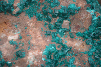 Natural Emerald Dioptase Dolomite Matrix Specimen x 1 From Namibia