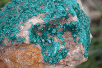 Natural Emerald Dioptase Dolomite Matrix Specimen x 1 From Namibia