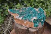 Natural Emerald Dioptase Dolomite Matrix Specimen x 1 From Namibia