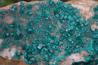 Natural Emerald Dioptase Dolomite Matrix Specimen x 1 From Namibia