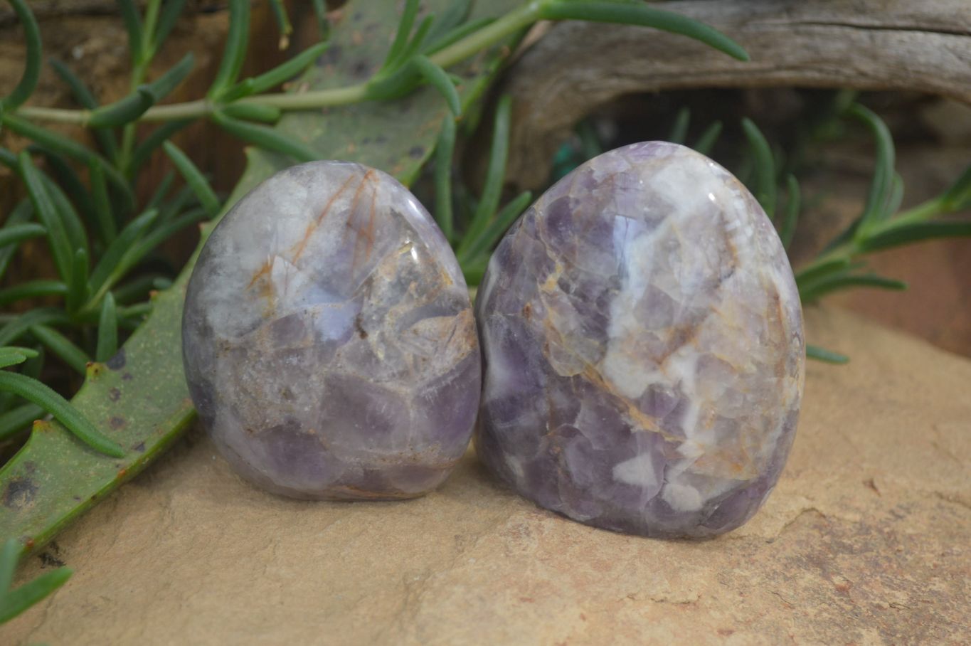Polished Chevron Amethyst Standing Free Forms x 6 From Madagascar - Toprock Gemstones and Minerals 