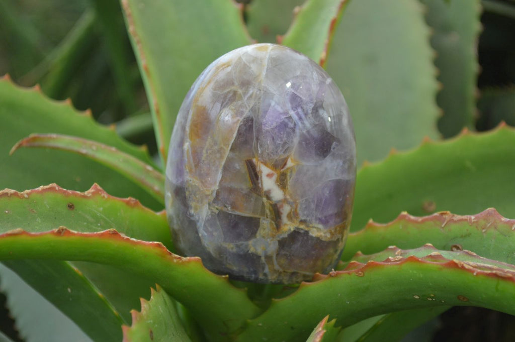 Polished Chevron Amethyst Standing Free Forms x 6 From Madagascar - Toprock Gemstones and Minerals 