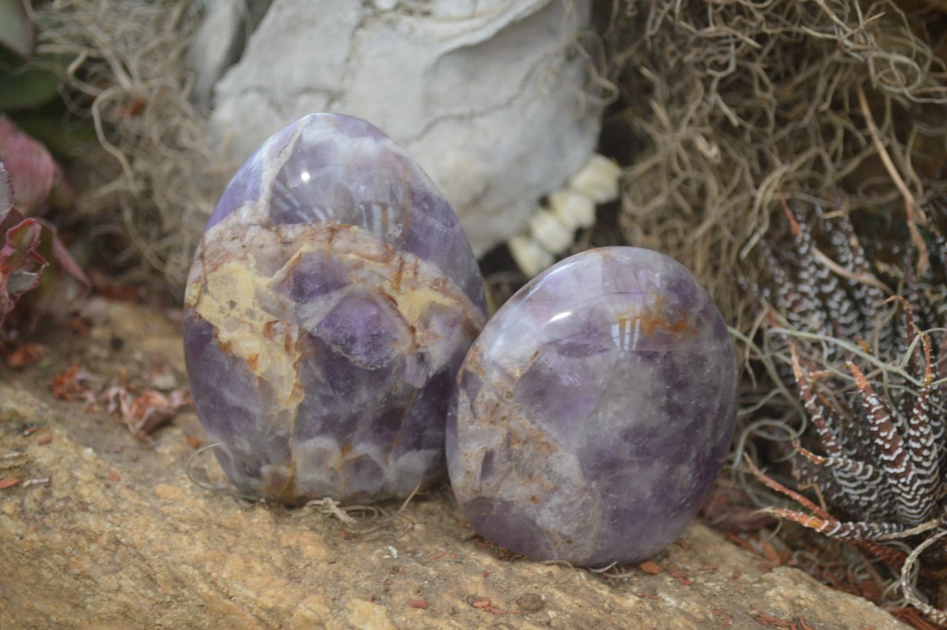 Polished Chevron Amethyst Standing Free Forms x 6 From Madagascar - Toprock Gemstones and Minerals 