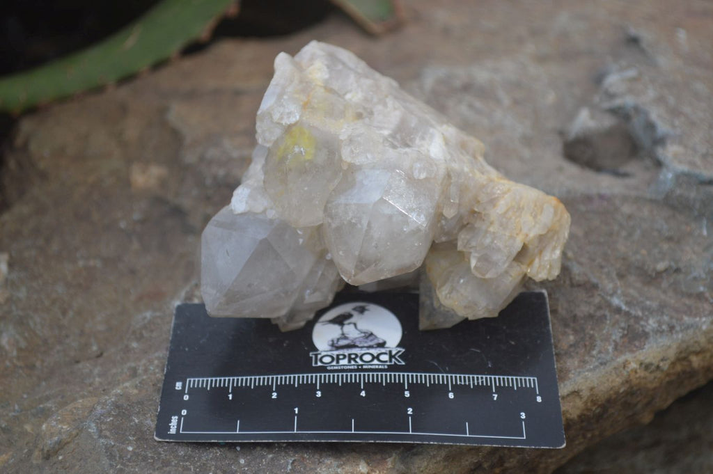 Natural Smokey Quartz Clusters x 3 From Luena, Congo - Toprock Gemstones and Minerals 