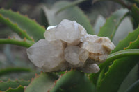 Natural Smokey Quartz Clusters x 3 From Luena, Congo - Toprock Gemstones and Minerals 