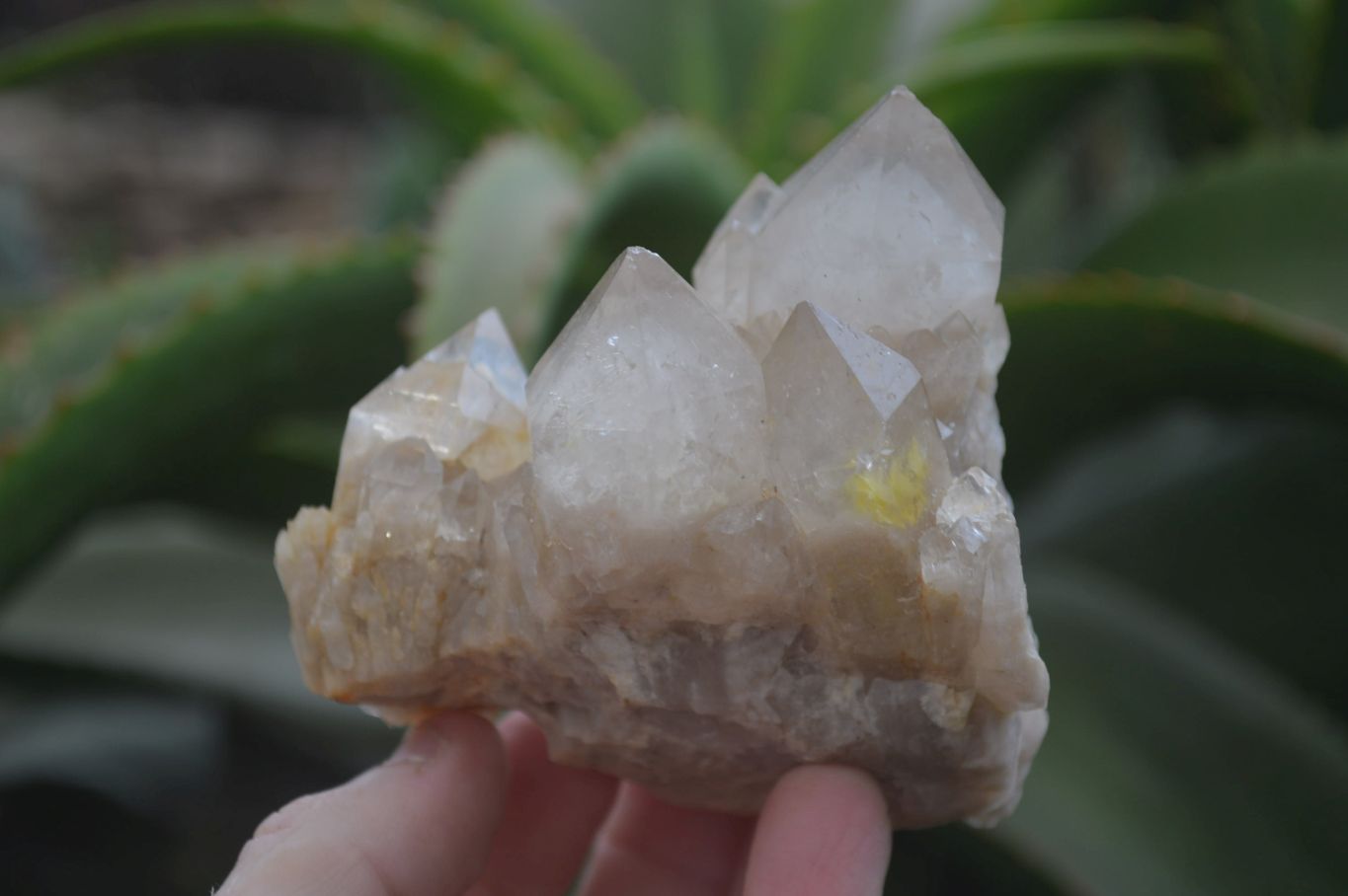 Natural Smokey Quartz Clusters x 3 From Luena, Congo - Toprock Gemstones and Minerals 