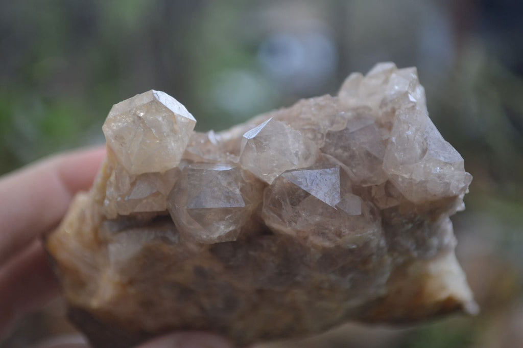 Natural Smokey Quartz Clusters x 3 From Luena, Congo - Toprock Gemstones and Minerals 