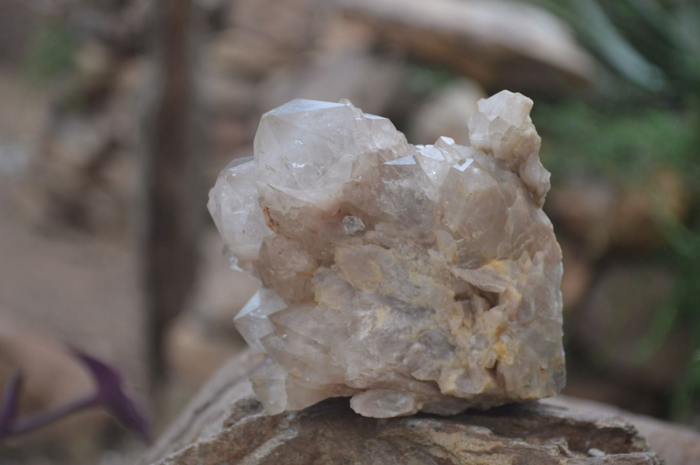 Natural Smokey Quartz Clusters x 3 From Luena, Congo - Toprock Gemstones and Minerals 