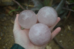 Polished Star Rose Quartz Sphere-Balls x 4 From Madagascar - Toprock Gemstones and Minerals 