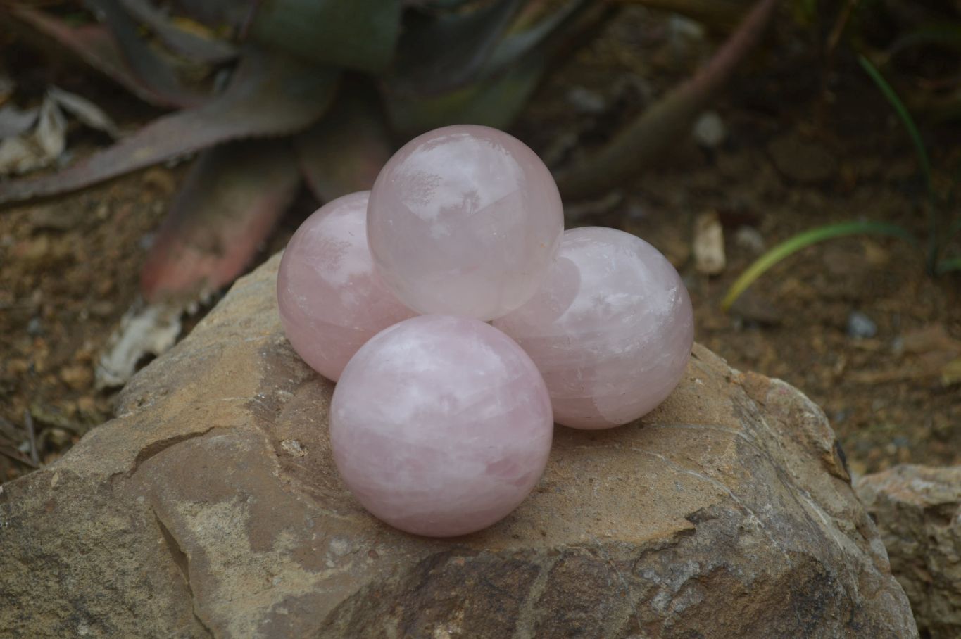 Polished Star Rose Quartz Sphere-Balls x 4 From Madagascar - Toprock Gemstones and Minerals 