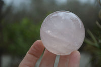 Polished Star Rose Quartz Sphere-Balls x 4 From Madagascar - Toprock Gemstones and Minerals 