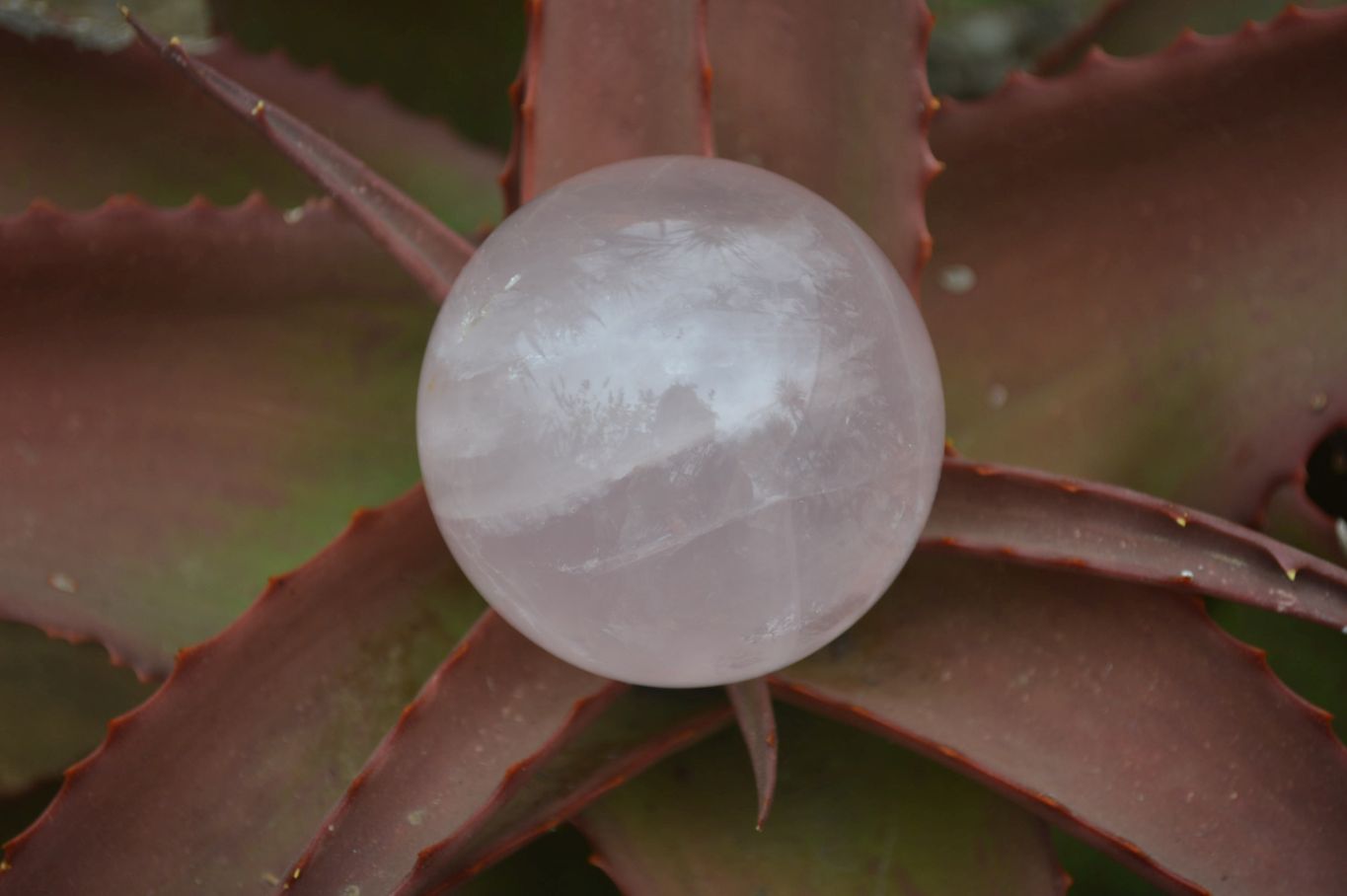Polished Star Rose Quartz Sphere-Balls x 4 From Madagascar - Toprock Gemstones and Minerals 