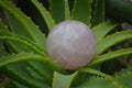Polished Star Rose Quartz Sphere-Balls x 4 From Madagascar - Toprock Gemstones and Minerals 