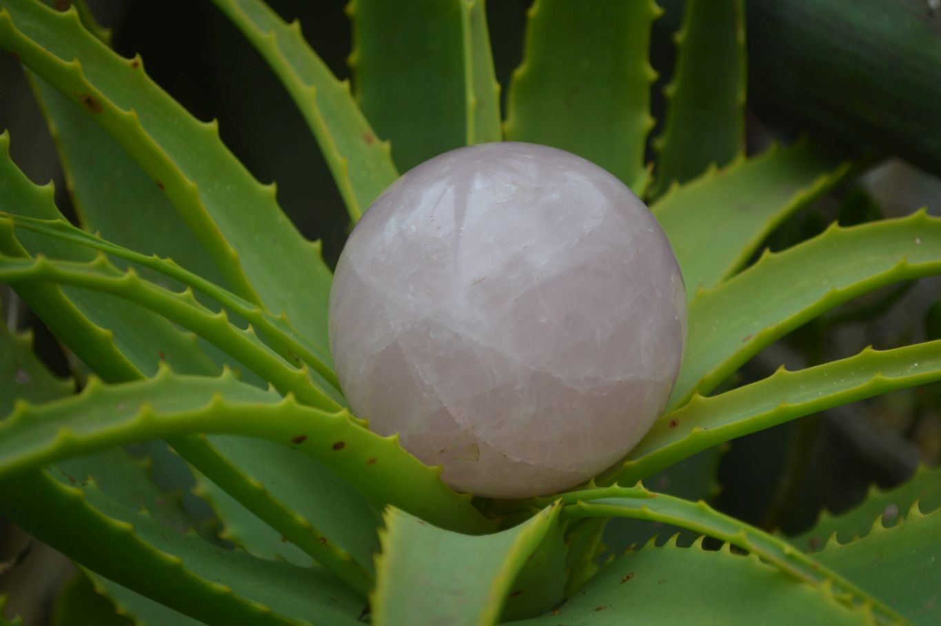Polished Star Rose Quartz Sphere-Balls x 4 From Madagascar - Toprock Gemstones and Minerals 