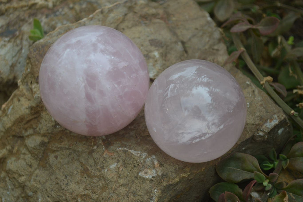 Polished Star Rose Quartz Sphere-Balls x 4 From Madagascar - Toprock Gemstones and Minerals 