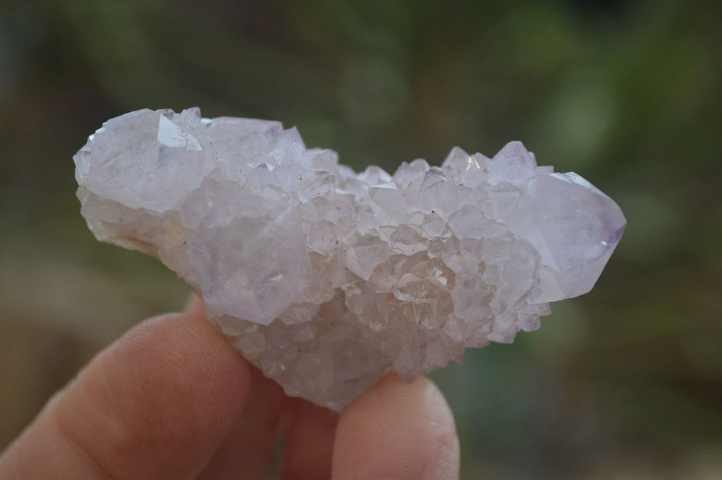 Natural Ametrine Spirit Quartz Clusters x 24 From Boekenhouthoek, South Africa - Toprock Gemstones and Minerals 