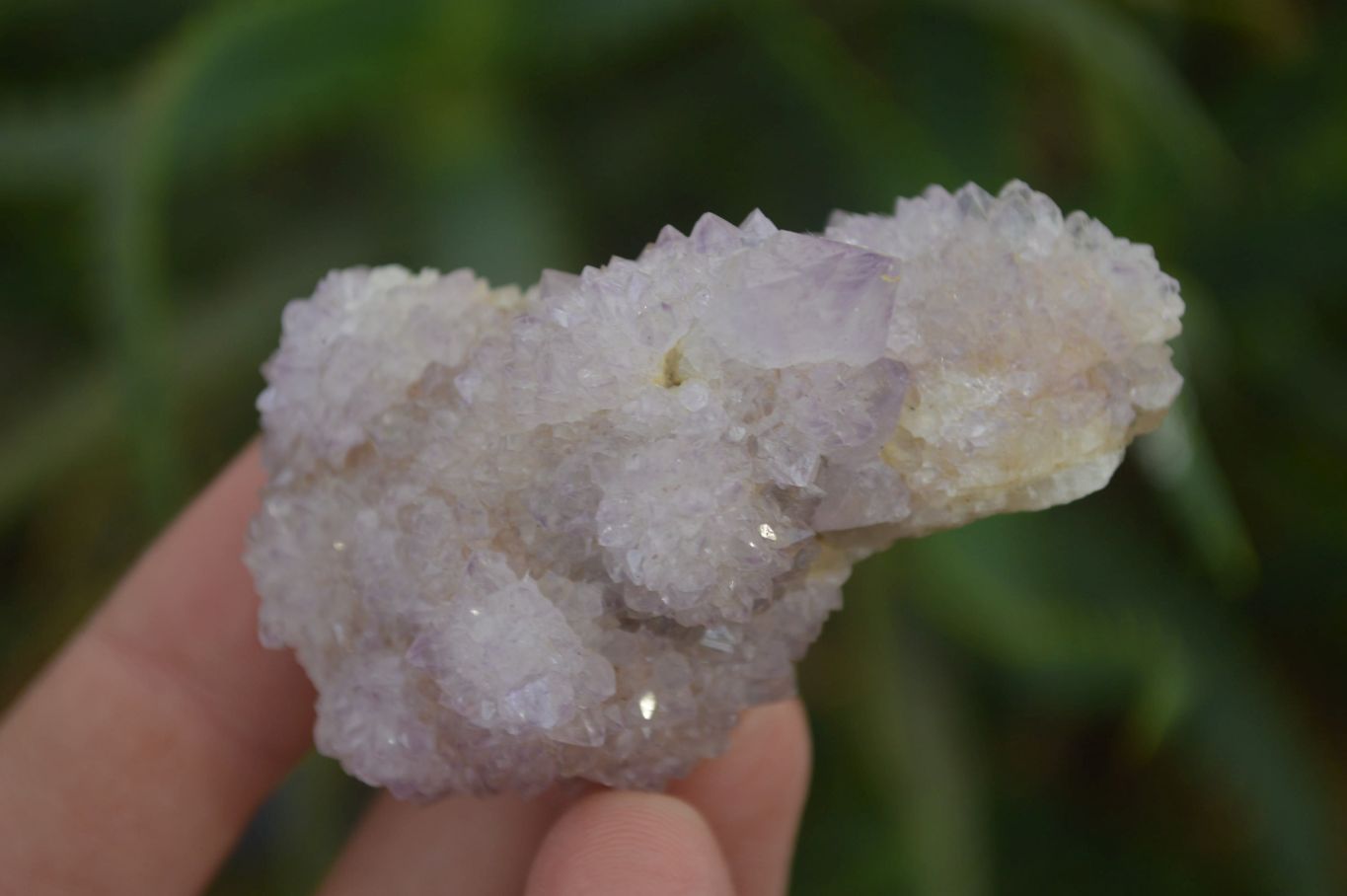 Natural Ametrine Spirit Quartz Clusters x 24 From Boekenhouthoek, South Africa - Toprock Gemstones and Minerals 