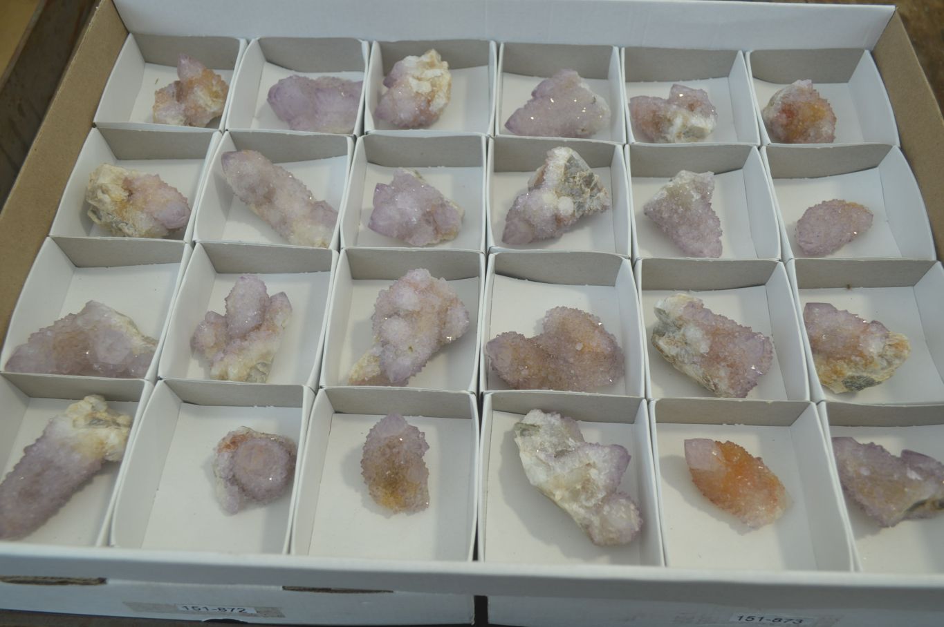 Natural Ametrine Spirit Quartz Clusters x 24 From Boekenhouthoek, South Africa - Toprock Gemstones and Minerals 