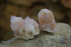 Natural Ametrine Spirit Quartz Clusters x 24 From Boekenhouthoek, South Africa - Toprock Gemstones and Minerals 