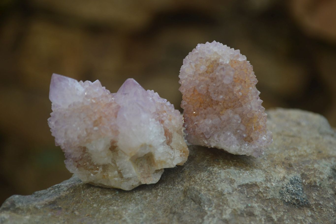 Natural Ametrine Spirit Quartz Clusters x 24 From Boekenhouthoek, South Africa - Toprock Gemstones and Minerals 