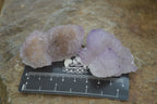 Natural Ametrine Spirit Quartz Clusters x 24 From Boekenhouthoek, South Africa - Toprock Gemstones and Minerals 