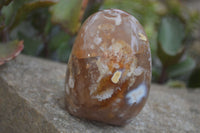 Polished Flower Agate Standing Free Forms x 2 From Madagascar - Toprock Gemstones and Minerals 