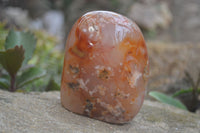 Polished Flower Agate Standing Free Forms x 2 From Madagascar - Toprock Gemstones and Minerals 