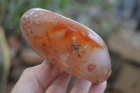 Polished Flower Agate Standing Free Forms x 2 From Madagascar - Toprock Gemstones and Minerals 