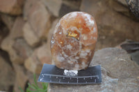 Polished Flower Agate Standing Free Forms x 2 From Madagascar - Toprock Gemstones and Minerals 