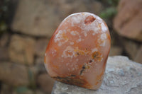 Polished Flower Agate Standing Free Forms x 2 From Madagascar - Toprock Gemstones and Minerals 