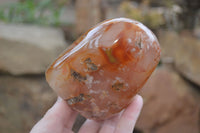Polished Flower Agate Standing Free Forms x 2 From Madagascar - Toprock Gemstones and Minerals 