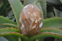 Polished Flower Agate Standing Free Forms x 2 From Madagascar - Toprock Gemstones and Minerals 