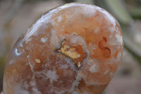 Polished Flower Agate Standing Free Forms x 2 From Madagascar - Toprock Gemstones and Minerals 
