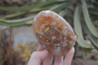 Polished Flower Agate Standing Free Forms x 2 From Madagascar - Toprock Gemstones and Minerals 