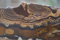 Polished On One Side Nguni Jasper Specimens x 2 From Prieska, South Africa - Toprock Gemstones and Minerals 