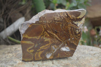 Polished On One Side Nguni Jasper Specimens x 2 From Prieska, South Africa - Toprock Gemstones and Minerals 