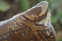 Polished On One Side Nguni Jasper Specimens x 2 From Prieska, South Africa - Toprock Gemstones and Minerals 