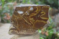 Polished On One Side Nguni Jasper Specimens x 2 From Prieska, South Africa - Toprock Gemstones and Minerals 