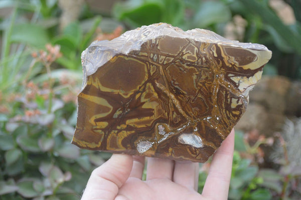 Polished On One Side Nguni Jasper Specimens x 2 From Prieska, South Africa - Toprock Gemstones and Minerals 
