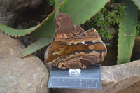 Polished On One Side Nguni Jasper Specimens x 2 From Prieska, South Africa - Toprock Gemstones and Minerals 