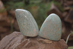 Polished Amazonite Standing Free Forms x 6 From Zimbabwe - Toprock Gemstones and Minerals 