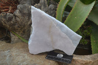 Natural Crystalline Blue Lace Agate Specimen x 1 From Namibia - Toprock Gemstones and Minerals 
