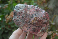 Natural Rhodonite Cobbed Specimens x 8 From Zimbabwe - Toprock Gemstones and Minerals 