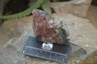Natural Rhodonite Cobbed Specimens x 8 From Zimbabwe - Toprock Gemstones and Minerals 