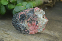 Natural Rhodonite Cobbed Specimens x 8 From Zimbabwe - Toprock Gemstones and Minerals 