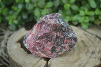 Natural Rhodonite Cobbed Specimens x 8 From Zimbabwe - Toprock Gemstones and Minerals 