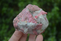 Natural Rhodonite Cobbed Specimens x 8 From Zimbabwe - Toprock Gemstones and Minerals 