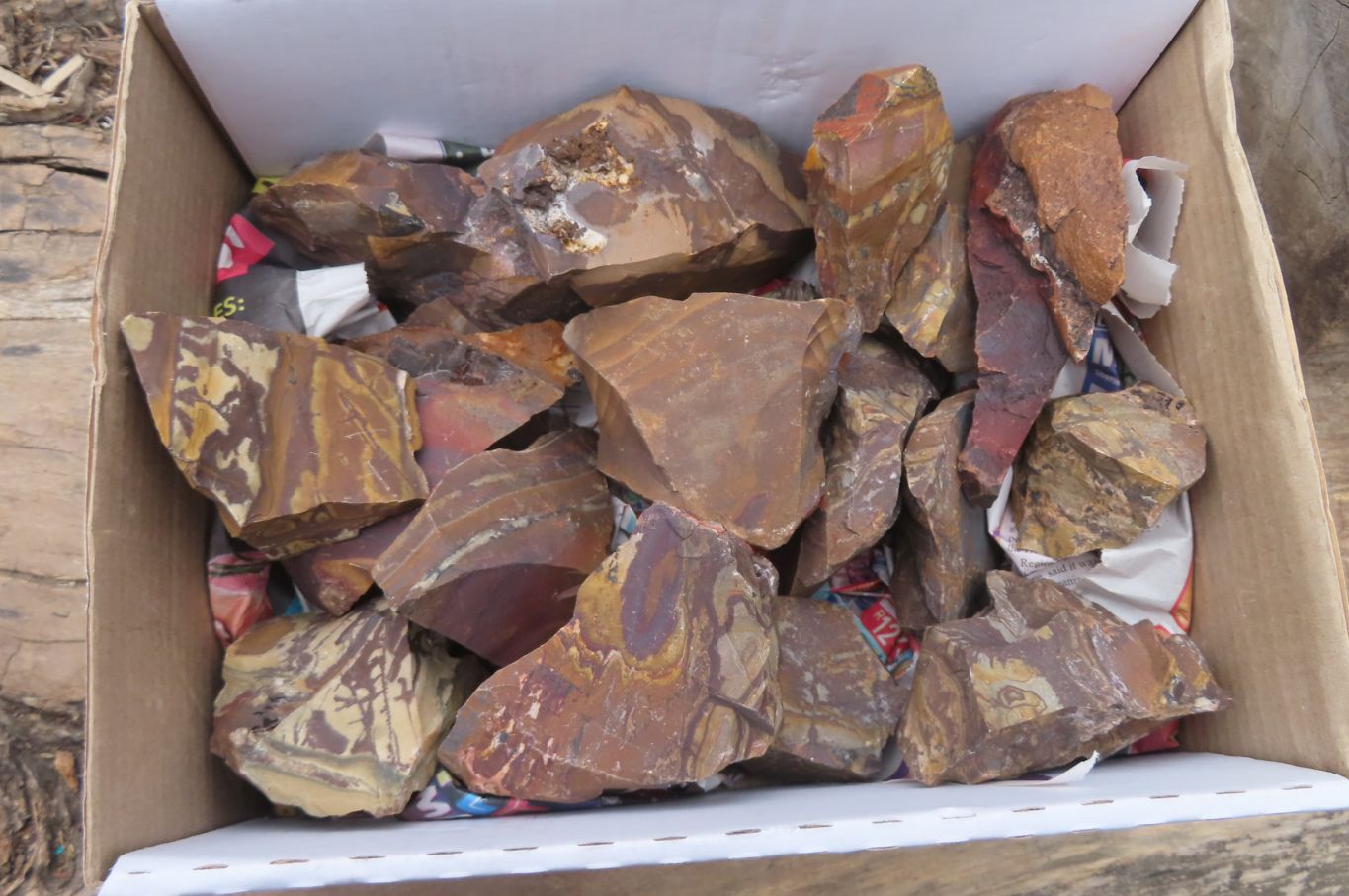 Natural Nguni Jasper Cobbed Specimens x 15 From Prieska, South Africa - Toprock Gemstones and Minerals 