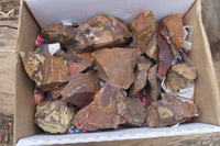 Natural Nguni Jasper Cobbed Specimens x 15 From Prieska, South Africa - Toprock Gemstones and Minerals 