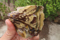 Natural Nguni Jasper Cobbed Specimens x 15 From Prieska, South Africa - Toprock Gemstones and Minerals 